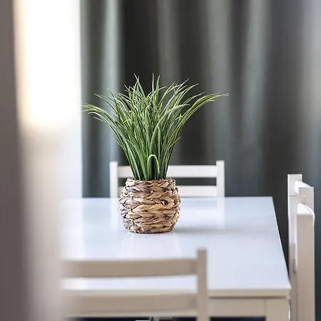 Apartamento Holy Escape *