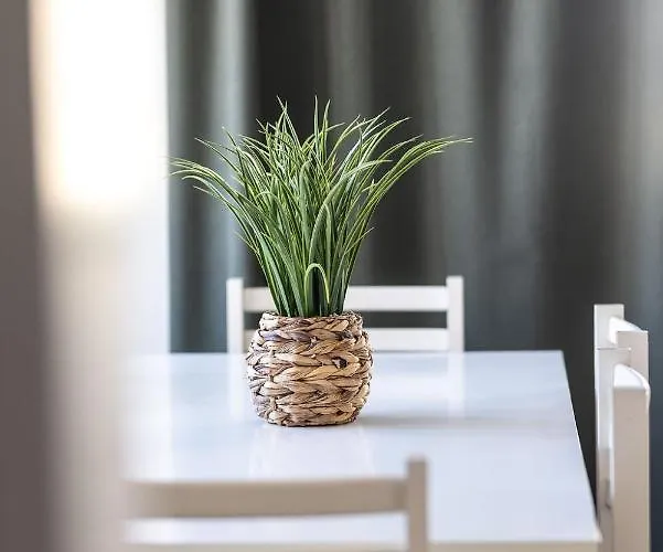 Lejlighed Holy Escape *